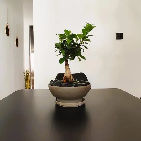 Apartment Evdothea Asprovalta