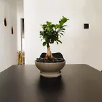 Apartment Evdothea Asprovalta